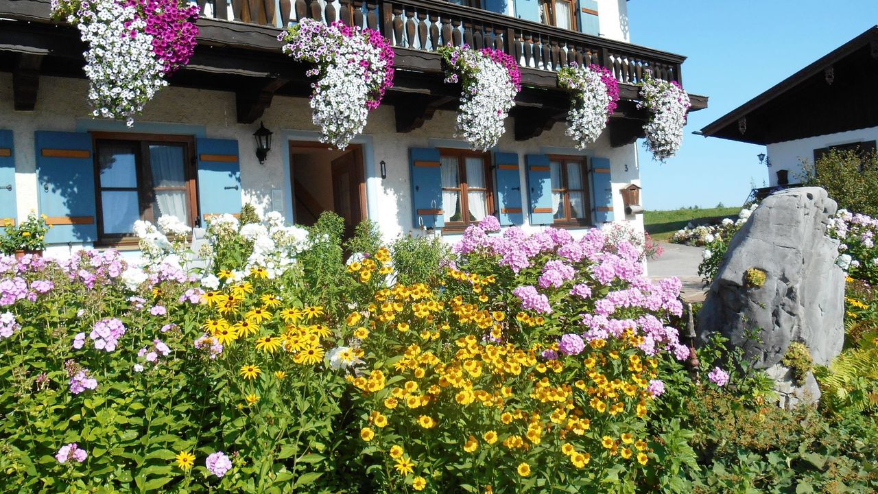 wunderschöner Blumengarten wunderschöner Blumengarten